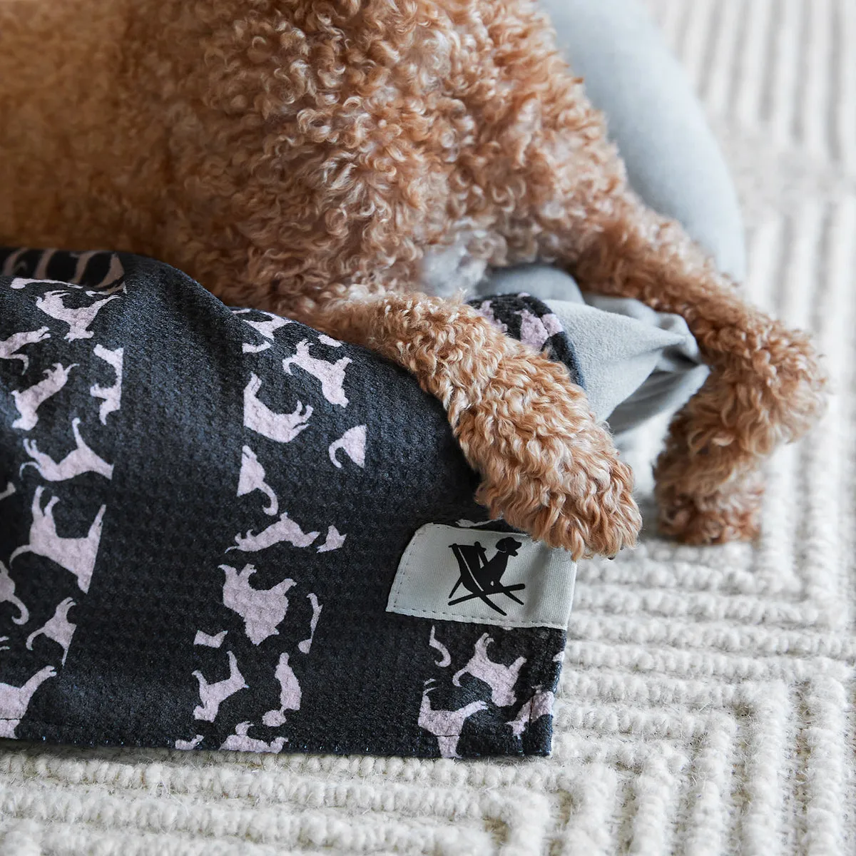 Dock & Bay Dog Towels - Woofs Go Wild - Outlet