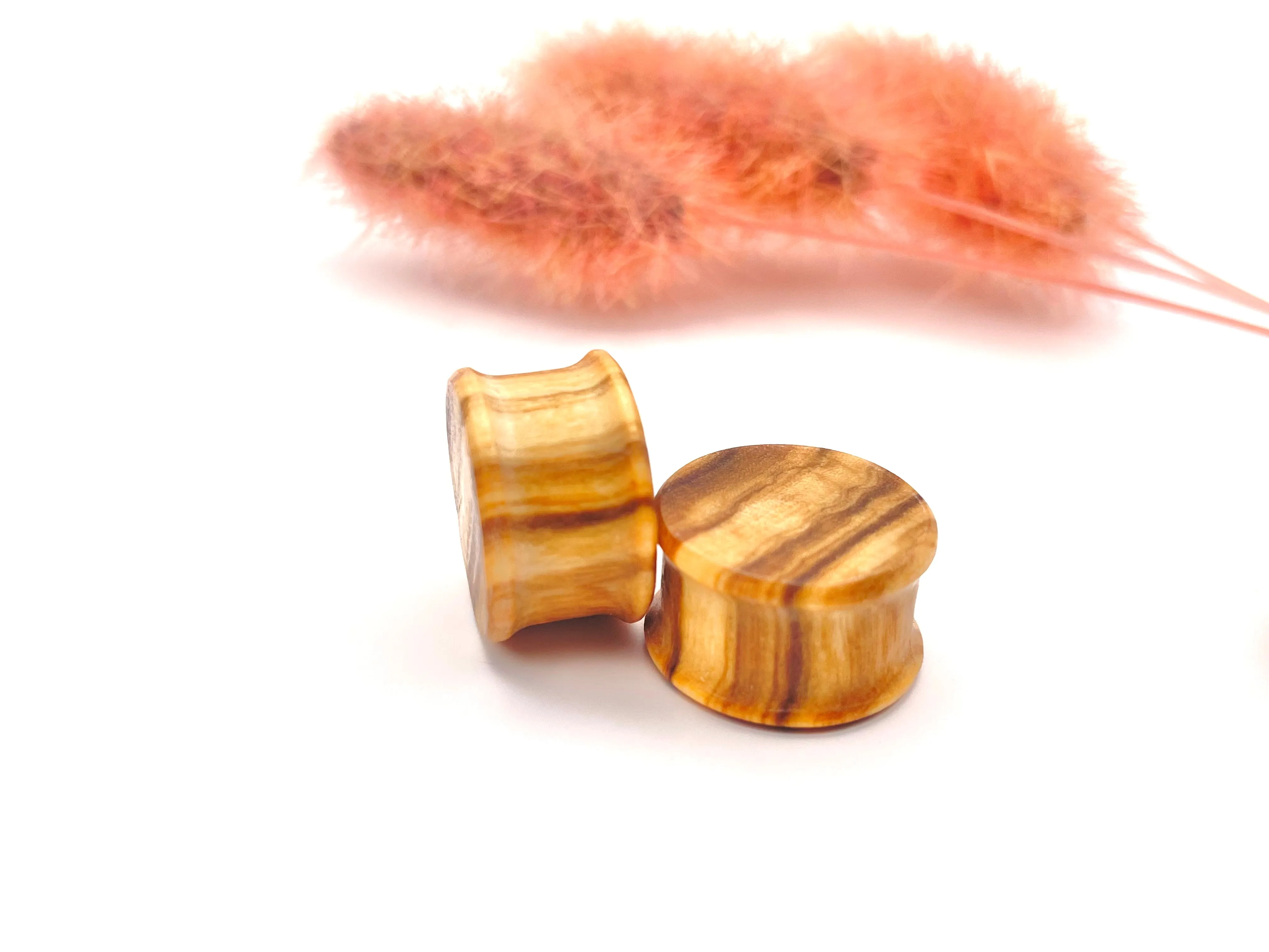 Organic Olivewood Plugs