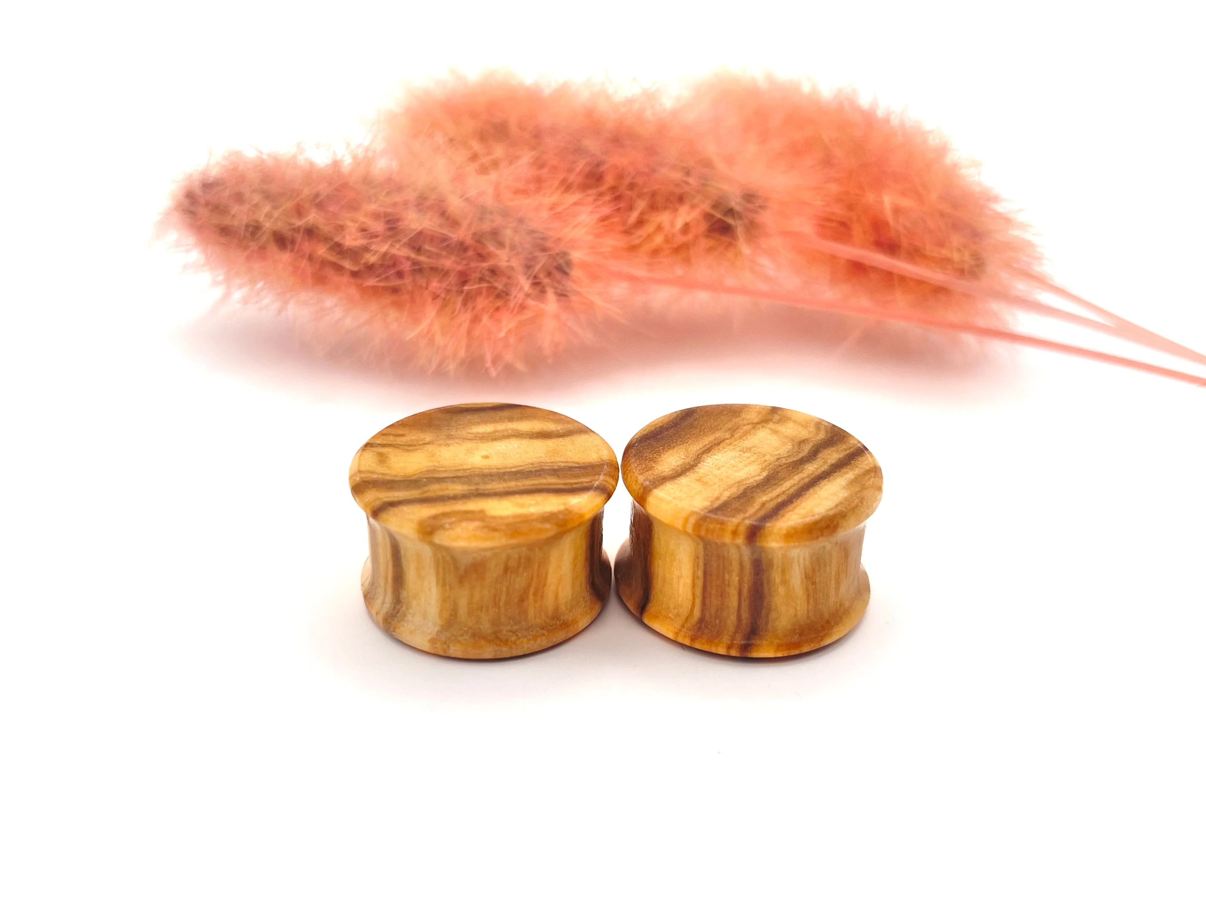 Organic Olivewood Plugs