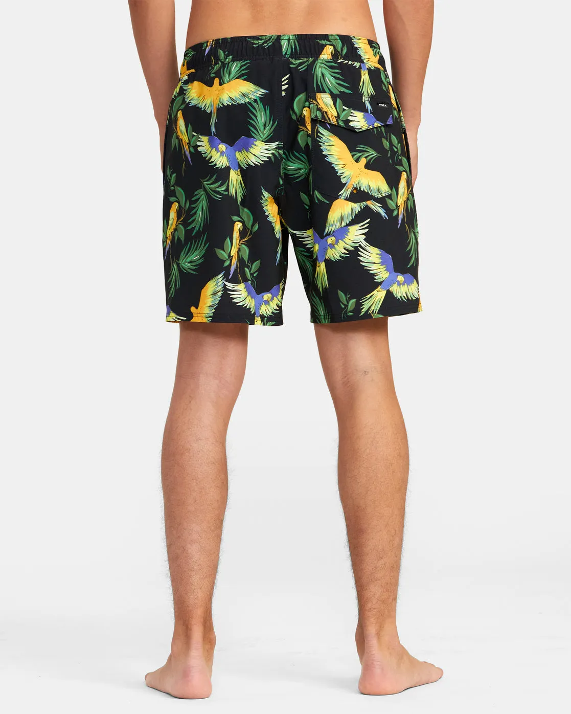 VA Elastic Waist Boardshorts 17" - Parrot