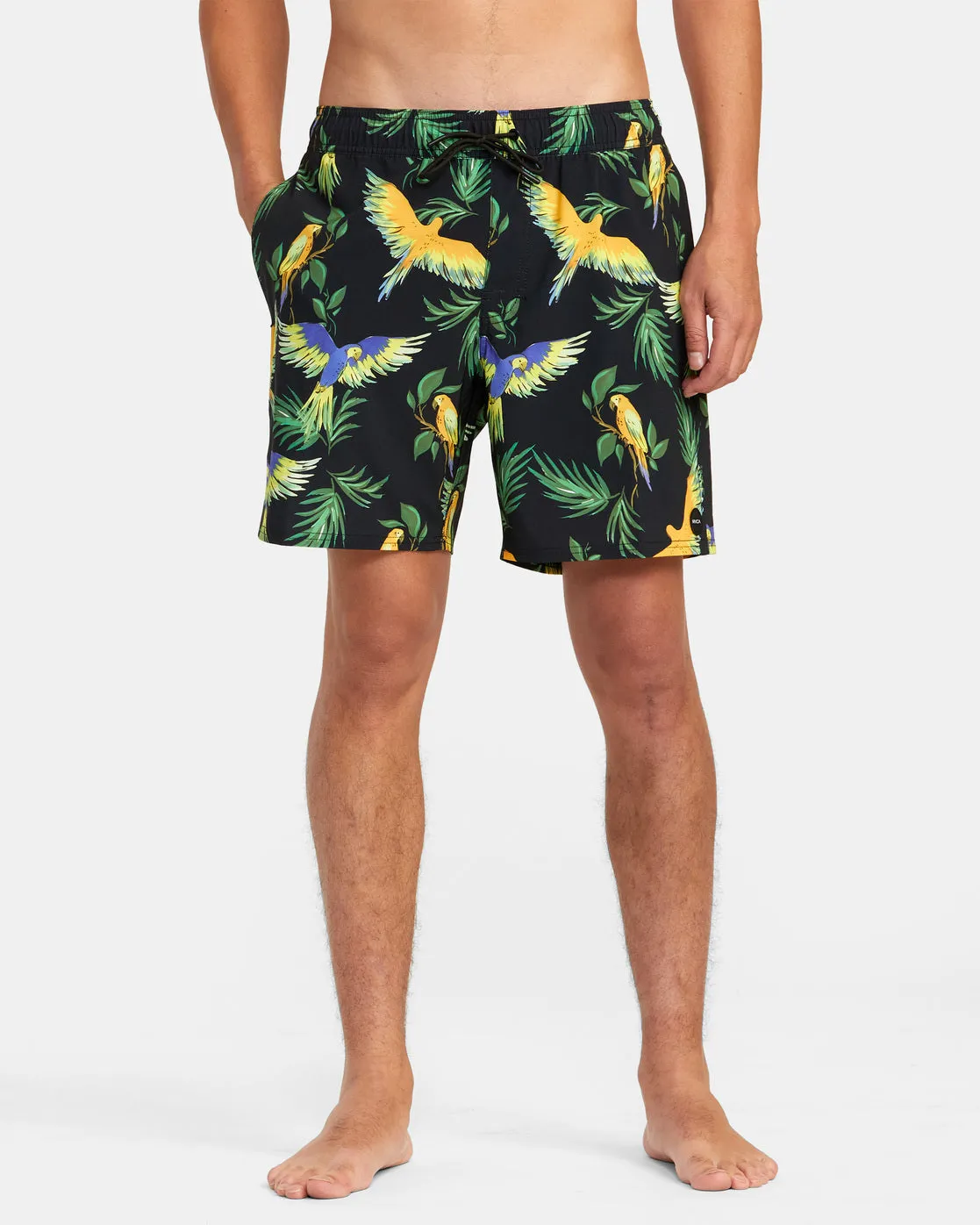 VA Elastic Waist Boardshorts 17" - Parrot